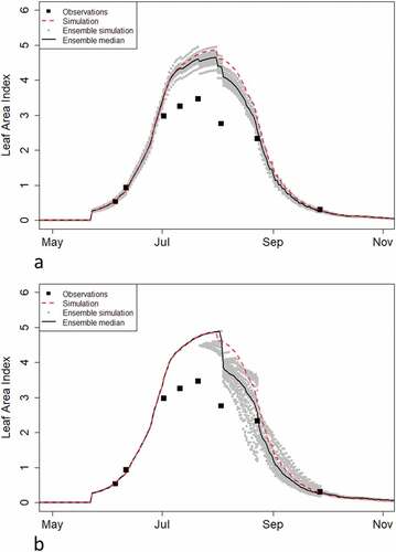 Figure 5. Variation in the EnKF simulation created with a parameter that influences LAI at emergence (a) and with a parameter that affects the lifespan of leaves (b).