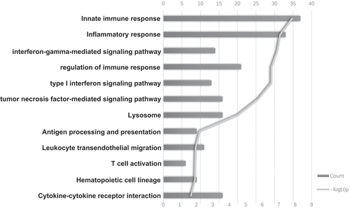 Figure 4. The top bioinformatics hits of biological pathways derived from ISG20-correlated genes in the CGGA cohort. Column length (upper coordinates): enrichment gene counts; polyline (lower coordinates): -log10 p-value (p < 0.05).