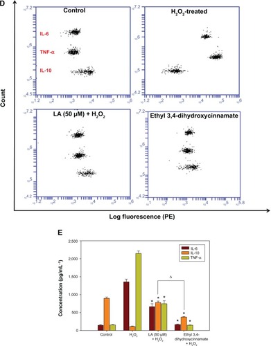 Figure 7 Western blot analysis of R-LA on pGSK-3β(Ser9) and total GSK-3β and NF-κβ p65 translocation.