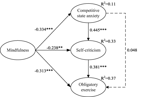 Figure 2 Path analysis results. ***p < 0.001, **p < 0.01.