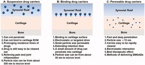 Figure 1. Three types of micro/nano drug carriers: suspension drug carriers, binding drug carriers, permeable drug carriers, and their characteristics.