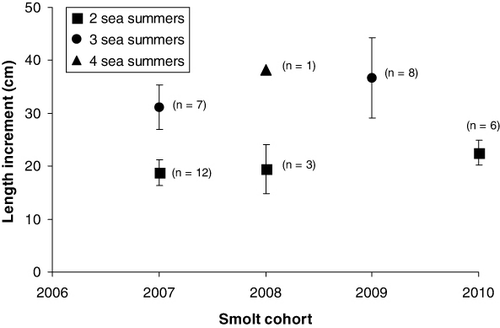 Figure 6. Mean length of recaptured PIT-tagged smolts of anadromous brown trout from the River Guddalselva after two to four summers in the fjord. Vertical lines indicate standard deviation of the means.