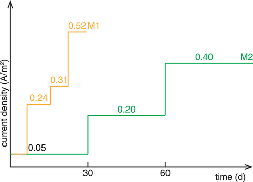 Figure 3. Current densities used for M1 and M2.