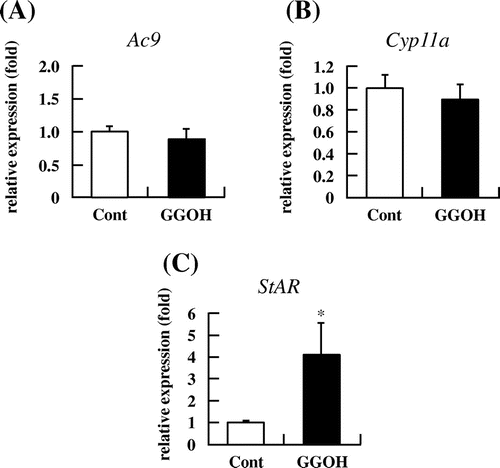 Fig. 7. GGOH enhances StAR mRNA levels in I-10 cells. I-10 were treated with GGOH for 3 h; mRNA levels of steroidogenesis-related genes (Ac9, Cyp11a, and StAR) were then measured by qRT-PCR.