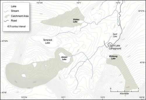 Figure 2. Plan view of the area within the Middle Fork Sheep Creek drainage basin where Hidden, Birdsong, and Jessen lakes are located. Gray shading surrounding the lake area indicates the estimated catchment area for the lake (40 ft is approximately 12 m).