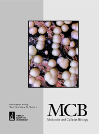 Cover image for Molecular and Cellular Biology, Volume 26, Issue 6, 2006