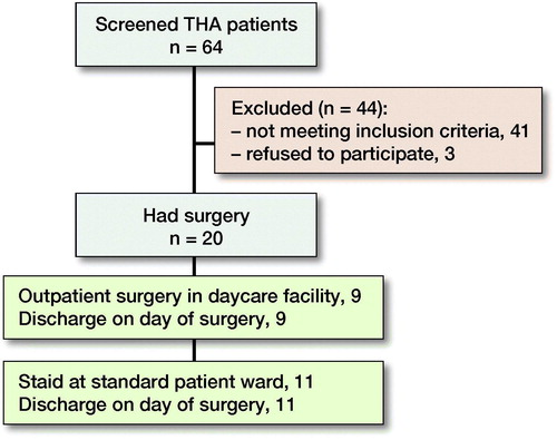 Figure 1. Flow chart of included THA patients.