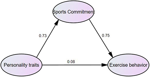 Figure 1 Structural Equation Modelling of Personality Traits, Sports Commitment and Exercise Behaviour.