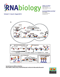 Cover image for RNA Biology, Volume 11, Issue 8, 2014