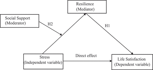 Figure 1. Depicting the conceptual framework of the study.