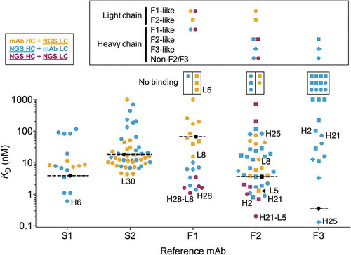 Figure 4. Affinities of variant antibodies. Antibody variants with NGS-derived light, heavy or both light and heavy chains are shown in orange, blue and maroon as indicated in the top left box. Recombinant mAbs are shown in black and their affinities are highlighted with dashed lines. Non-binding variants are shown in small boxes above the graph. The lineage of the NGS-derived F1 to F3 heavy and light chain sequence variants are shown in different symbols as indicated above the graph, using the same symbols and colors as in Figure 3 and detailed in the large box above the graph for each reference mAb. Note that for the variants with NGS-derived heavy and light chains (in maroon) for F1 and F2 variants have light chains derived from the F1 (F-L8) and F2 (F-L5) lineages, respectively. F2 and F3-like sequences were determined by nucleotide junctional sequence analysis as shown in Supplementary Figure 4. Variants indicated by name omit the S- and F- prefixes for clarity. Variants with KD values above the upper bound are shown in the upper limit of the affinity scale. Affinities were determined at 25°C for all mAbs and variants.