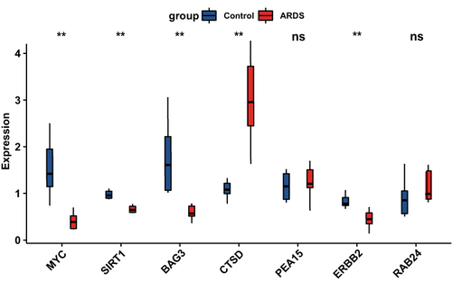 Figure 9 RNA expression of seven DEARGs were measured in sepsis-induced ARDS and healthy samples. (A) RNA expression of BAG3, CTSD, ERBB2, MYC, PEA15, RAB24 and SIRT1were measured in blood samples using qRT-PCR. P-values were calculated using a two-sided unpaired Student’s s t-test. **P<0.01.