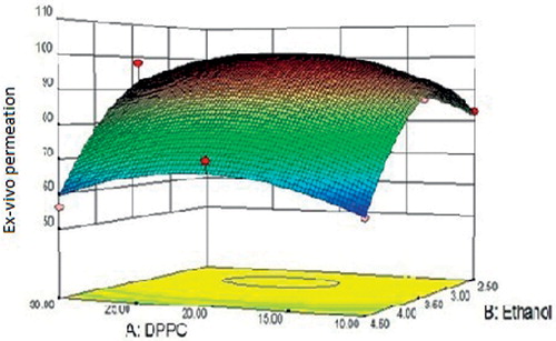 Figure 5. Response surface curve depicting the effect of DPPC and ethanol on ex-vivo skin permeation of ethosomes.