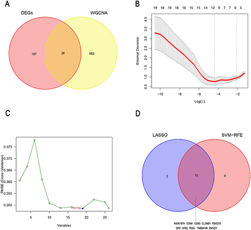 Figure 4 Identification of the diagnostic genes for the immune non-response in HIV-infected individuals treated with cART. (A) The overlapped genes between the DEGs and the three INR associated modules of WGCNA. The LASSO(B) and SVM-RFE (C) analysis for the 26 common genes were performed to screen the gene signatures. (D) The Venn diagram shows the diagnostic genes obtained by the LASSO and SVM-RFE.