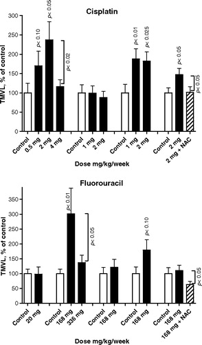 Figure 3.  Proangiogenic effect on VEGF-A-mediated angiogenesis by cisplatin (four experiments) and fluorouracil (five experiments) when infused continuously as monotherapy and when co-treated with the free-radical scavenger N-acetylcystein (NAC) at 192 mg/kg/day for seven consecutive days before sacrifice. Mean ± SEM data for total microvascular length, TMVL (vascularized area times the mean of microvascular length) is shown as percentage of saline vehicle control. Each treatment group comprised 10–14 animals. Figures indicate statistically significant effects compared with controls. P-values for differences between different doses of either cytoxic or due to NAC co-treatment are also indicated.No significant antiangiogenic effect was observed following metronomic treatment with cisplatin and fluorouracil. Instead, a significant proangiogenic influence was induced by cisplatin in three of four experiments and with fluorouracil in one of five experiments. It is noteworthy that the co-treatment with NAC significantly reduced the angiogenic response of fluorouracil, while it significantly and fully normalized the proangiogenic effect of cisplatin. For the effect on capillary sprouting, see Table III. For effect on microvessel and sprout growth and pattern formation, see Table I.