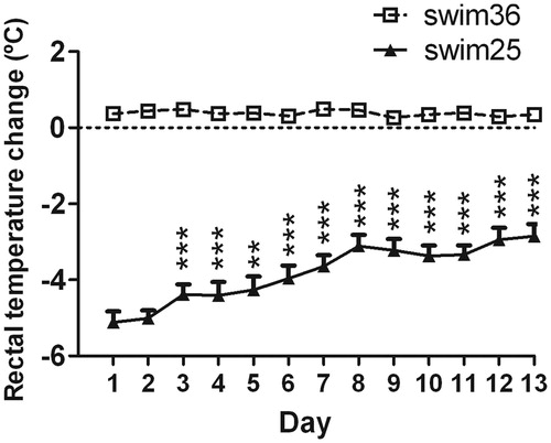 Figure 4. Effects of chronic exposure to swim at 25 °C (solid line) on rectal temperature (RT), changes with respect to pre-swim values from day 1 to 13. A GEE was used. Data are expressed as group mean +/− s.e.m. (n = 10 each group). Two symbols indicate p < 0.01, three symbols p < 0.001. * denotes differences in RT versus day 1 (rats swimming at 36 °C are not included in the statistical analysis). The statistical analysis revealed an effect of days, indicating a progressive reduction of hypothermia over the days.