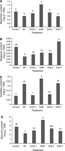 Figure 2.  The influence of different Trichoderma strains (including M7, G47-3, KHB, G46-3 and G46-7) and the control group on silymarin accumulation of milk thistle (Silybum marianum) plant (means with the same letter are not significantly different at α = 0.05). (A) Silychristin content; (B) Silydianin content; (C) Isosilybin content; and (D) Silymarin accumulation.