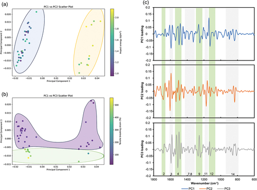 Figure 4. PCA plots for the 42 samples analyzed in this study. a) PCA score plot depicting PC1 versus PC2, b) PCA score plot depicting PC1 versus PC3, and c) a PC loading plot based on the ATR-FTIR spectra, which underwent preprocessing involving normalization and application of a Savitzky-Golay filter for second derivative transformation and smoothing. Shading in plots a, b) demonstrates the grouping based on impact energy and tensile breaking strain, respectively. It should be noted that the colored ellipses in these plots serve solely for illustrative purposes.