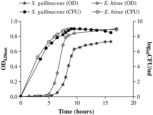 Figure 1. Growth curves of S. gallinaceus (C13156) and E. hirae (C17410) expressed as optical density (OD 620 nm) and corresponding viable counts (log10 CFU/ml). Inocula used for infection were adjusted to an OD 620 nm of 0.1 in PBS (approximately 108 CFU/ml) taken from exponential growth of culture (approximately 9 h).