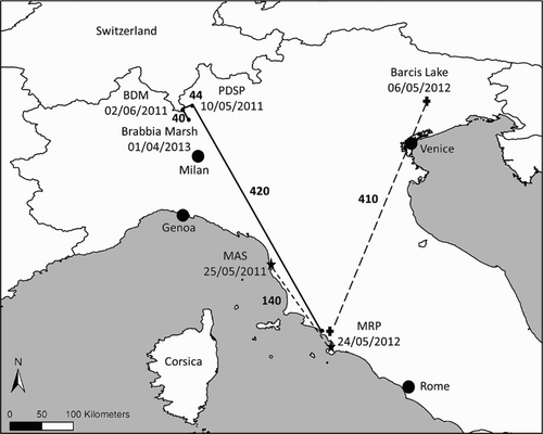 Figure 2. Map showing long-distance dispersal movements of three reintroduced females in Italy: A4, released in 2009 (black dots and solid lines); L5, released in 2010 (black starts and sketched lines); S5, released in 2010 (black cross and dotted lines). For each location the name of the place or its abbreviation, the date of sighting and the minimum line of sight distance from the previous location (in bold and expressed in km) are shown.