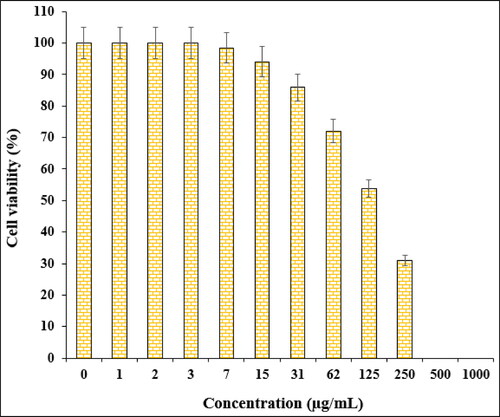 Figure 8. The cytotoxicity potentials of Fe3O4@Starch/Cu against PA-1 cell line.