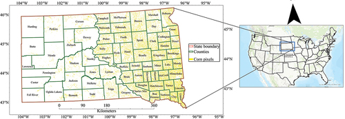 Figure 1. Study area map. The corn pixels for year 2020 are shown as yellow.
