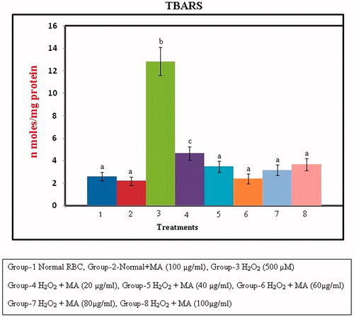 Figure 7. Protection against H2O2-induced lipid peroxidation in RBC cellular membrane by different concentrations of MA. Values are given as mean ± SD of six replicates in each group. Bar values are sharing a common superscript (a,b,c) differ significantly at p < 0.05 DMRT.