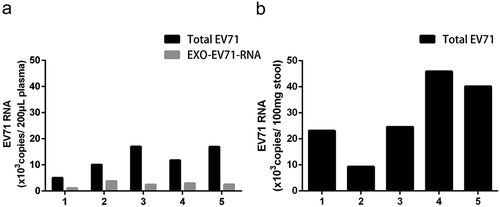 Figure 3. Exosomes Containing Viral RNA (EXO-EV71-RNA) Existed in Patients’ Plasma. (a) viral RNA could be detected in patients’ plasma and in the exosomes of the plasma. (b) viral RNA was positive in patients’ stools