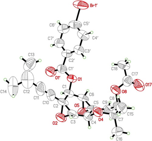 Figure 1. X-ray crystal structure (ORTEP image) of the p-bromobenzoate derivative of oxirapentyn B.