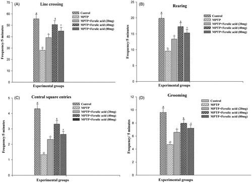 Figure 1. Open field test performance of experimental mice: (A) Line crossing, (B) rearing, (C) central square entries, and (D) grooming. Values are given as mean ± SD for six mice in each group. Error bars sharing common symbol do not differ significantly at p < 0.05. #Significantly p < 0.05 differ from MPTP and MPTP + ferulic acid-treated groups. **Significantly p < 0.05 differ from control and MPTP + ferulic acid groups. *Significantly p < 0.05 differ from control, MPTP, and MPTP+ferulic acid (40 mg/kg and 80 mg/kg body weight). $Significantly p < 0.05 differ from control, MPTP, and MPTP+ferulic acid (20 mg/kg and 80 mg/kg body weight) groups. †Significantly p < 0.05 differ from control, MPTP, and MPTP+ferulic acid (20 mg/kg and 40 mg/kg body weight) groups.
