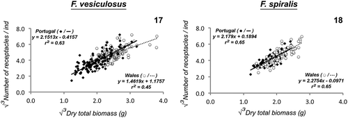 Figs 17–18. Significant linear regressions (ordinary least squares) of the relationship between number of receptacles (√3) and total dry biomass (√3) of, Fig. 17. Fucus vesiculosus and Fig. 18. Fucus spiralis, from Portuguese and Welsh populations. Each point represents an individual.