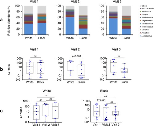 Figure 5. Racial difference in Lactobacillus to Prevotella ratio in the vaginal microbiome before and after DMPA treatment. Vaginal microbiome from the participants with pre- and post-DMPA administration was analysed. The genus-level community structures are shown for both Hispanic White and Black women at the three visits (a). The “Others” indicated by grey colour is the combined unclassified genera and low abundant genera (<0.1%) that were not included in taxonomic analyses. Lactobacillus to Prevotella (L/P) ratios in the vaginal microbiome after DMPA treatment were compared among and between the three visits in White or Black women and at the three visits (b). The L/P ratios were also compared between White or Black women at the three visits (c). P-values were calculated using the Kruskal–Wallis test for comparisons among the three visits and the Wilcoxon rank-sum test between two visits or two racial groups. A change in a ratio was considered as significant if p < 0.05.