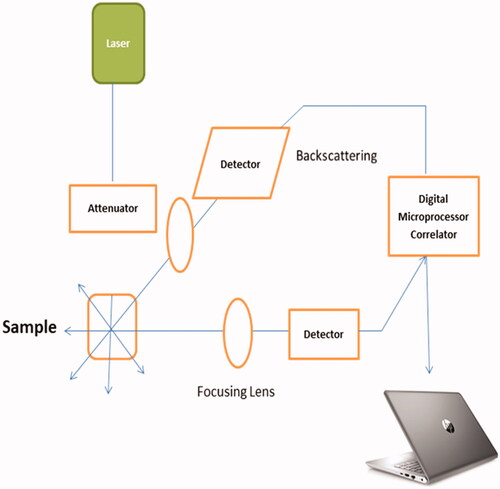 Figure 3. Schematic showing the instrumentation of Dynamic Light Scattering (DLS).