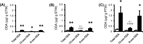 Fig. 1. Contents of 9- and 13-oxo-ODAs in tomato fruit.Notes: Quantitative analysis of 9- and 13-oxo-ODAs in the homogenates of (A) gelatinous, (B) sarcocarp, and (C) peel tissues. Data shown are the mean ± SEM (n = 6); *p < 0.05, and **p < 0.01 vs. control (extraction under liquid nitrogen conditions). □: homogenate under liquid nitrogen, ■: homogenate when kept for 30 min at 37 °C after room temperature homogenization. GTW: gelatinous tissue weight, STW: sarcocarp tissue weight, PTW: peel tissue weight.