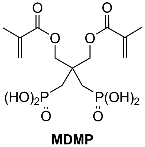 Figure 1 Structure of MDMP.