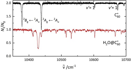Figure 2. The electronic spectrum of C60+ (top) and H2O@C60+ (bottom), recorded under the same laboratory conditions. The data are photofragmentation spectra of C60+−He and H2O@C60+−He complexes.