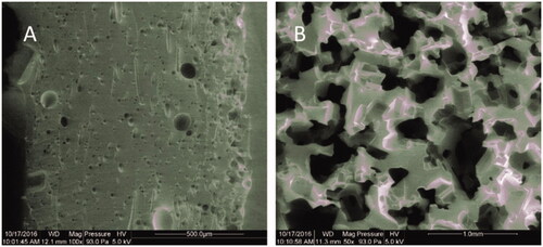 Figure 2. SEM image of porous PDMS made from cotton candy sheet (A) and granulated sugar (B).