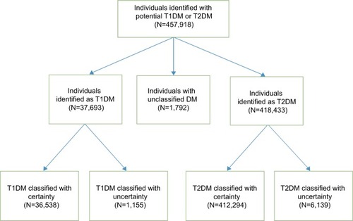 Figure 2 Flowchart for algorithm step 2: Classification of individuals with T1DM and T2DM.