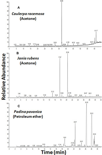 Figure 7 GC-MS of the most effective algal extracts.