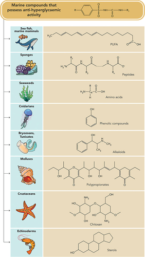 Figure 4 Anti-hyperglycaemic compounds obtained from various marine organisms at a glance.