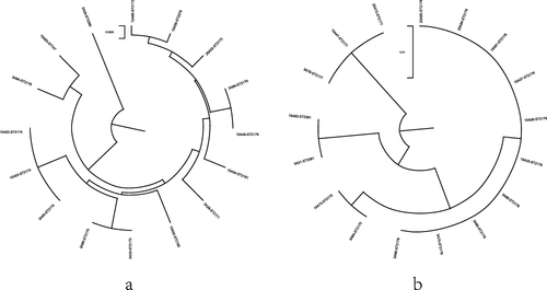 Figure 2 Phylogenetic tree analysis of Aeromonas caviae (a) and Aeromonas veronii (b).
