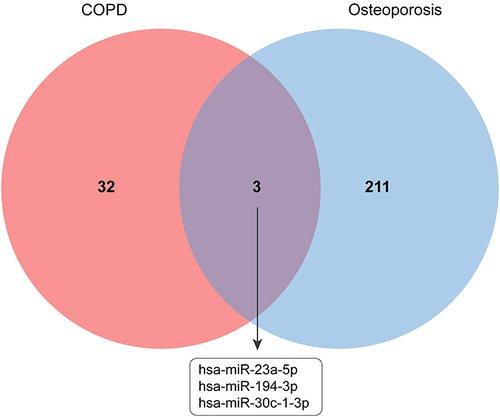 Figure 3 Venn diagram of differences in miRNA expression of GSE102915 and GSE93883.