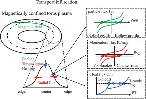 Figure 2. Flux-gradient relation of particle, momentum, and heat transport in magnetically confined toroidal plasma.