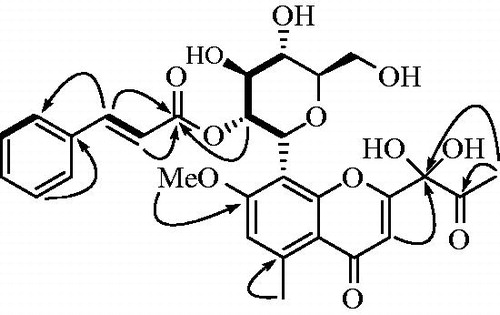 Figure 2. Key HMBC (→) and COSY (-) correlations of compound 1.