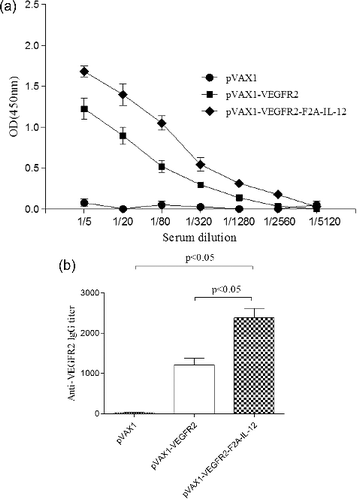 Figure 2. Anti-VEGFR2 antibody production in mice following treatment with the DNA vaccine. (a) Kinetics of the VEGFR2-specific antibody response. (b) VEGFR2-specific antibody titres in the groups of mice.