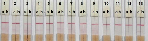 Figure 7. Result of using 13 kinds of reagent. 1 = suspension buffer, 2 = PVP, 3 = PEG, 4 = BSA, 5 = Casein, 6 = Sucrose, 7 = Trehalose, 8 = Sorbitol, 9 = Mannitol, 10 = tween-20, 11 = Brij-35, 12 = Triton X-100, and 13 = On-870. a = 0 ng/mL; b= 2.5 ng/mL.