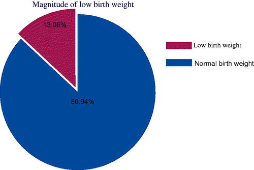 Figure 1. Magnitude of low birth weight among newborn delivered in Addis Ababa public hospitals, Addis Ababa, Ethiopia, 2021.