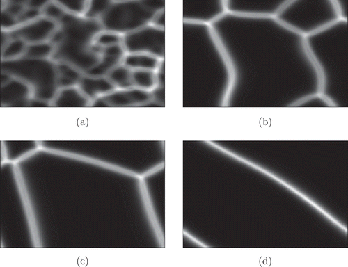 Figure 5. Four plots of the potential field of the example shown in Figure 4. (a) t 1 = 450, a 1 = 64.0%; (b) t 2 = 5 × 103, a 2 = 31.2%; (c) t 3 = 1 × 104, a 3 = 27.8%; and (d) t 4 = 2.5 × 104, a 4 = 14.1%.