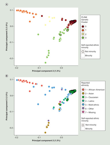 Figure 1.  Principal component analysis of SNP genotyping data showed genetic ancestry to be a major contributor to the variation between individual genotypes. (A) The loadings of second and third principal components representing the variance in the SNP genotyping data. Individual points are colored by four genetic ancestry clusters called by PLINK identity-by-state clustering. (B) The same plot as in (A) but with points colored by to self-reported ethnicity. In (A) and (B), black-outlined points represent individuals self-identified as not minority.