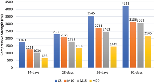 Figure 5. Compressive strength of ECC cylinders at various ages.